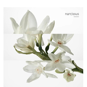 Eau de narcisse bleu - Eau de Cologne Eau de narcisse bleu - Eau de Cologne